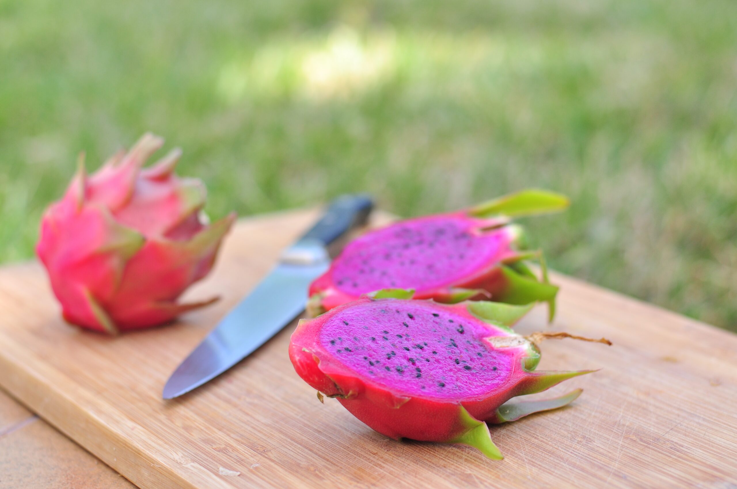 Pitayas: todo lo que necesitas saber sobre esta exótica fruta de sabor delicioso