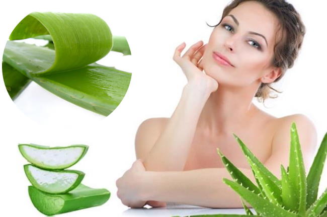 veneficios del aloe vera para la salud