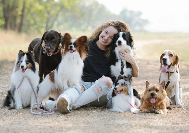 razas de perros